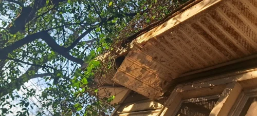 2026-03-06T160002.947857Z-019cc3e0-86d2-7011-8db7-efdc05c5375d-1