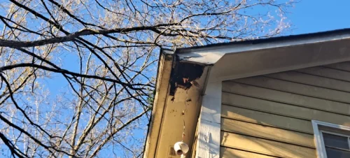 2026-03-11T001920.617783Z-019cda42-e111-729b-b448-d516cf093eb3-1