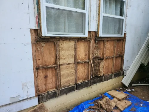 2026-03-19T003925.310316Z-019d0387-eae1-7a55-841a-13a41f3d3d5f-1