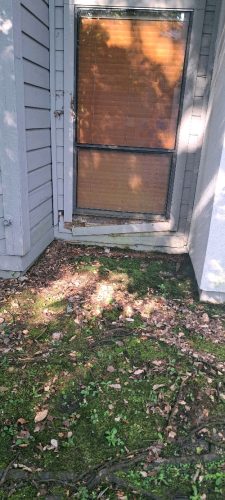 resilient-roofing-repair-2025-07-18T13 07 35.908698Z-98912